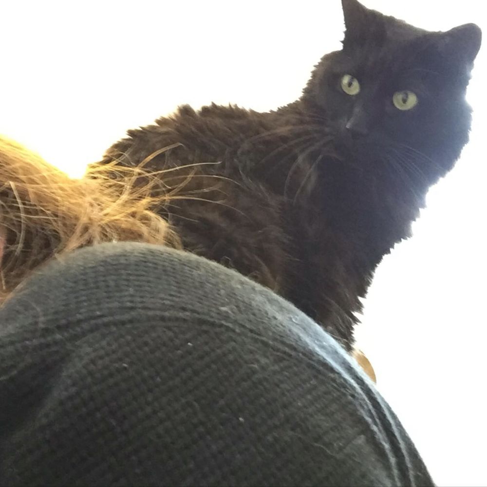 Meet your Posher, Sonja